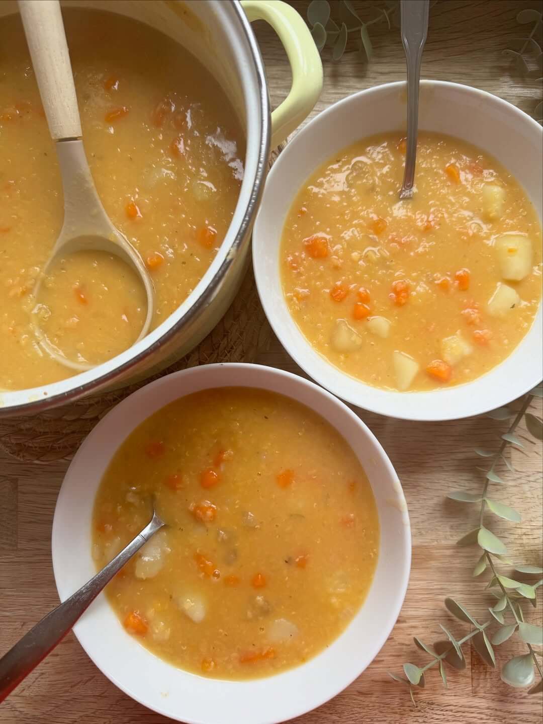 Anti-Inflammatory Veggie Soup