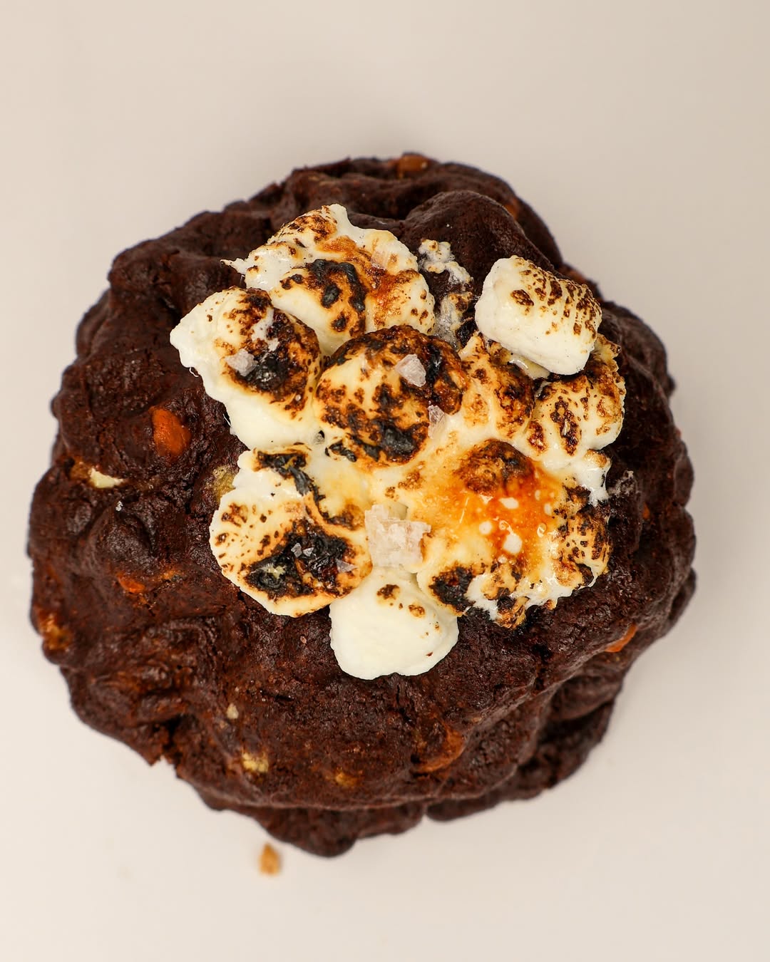 Rich chocolate cookie