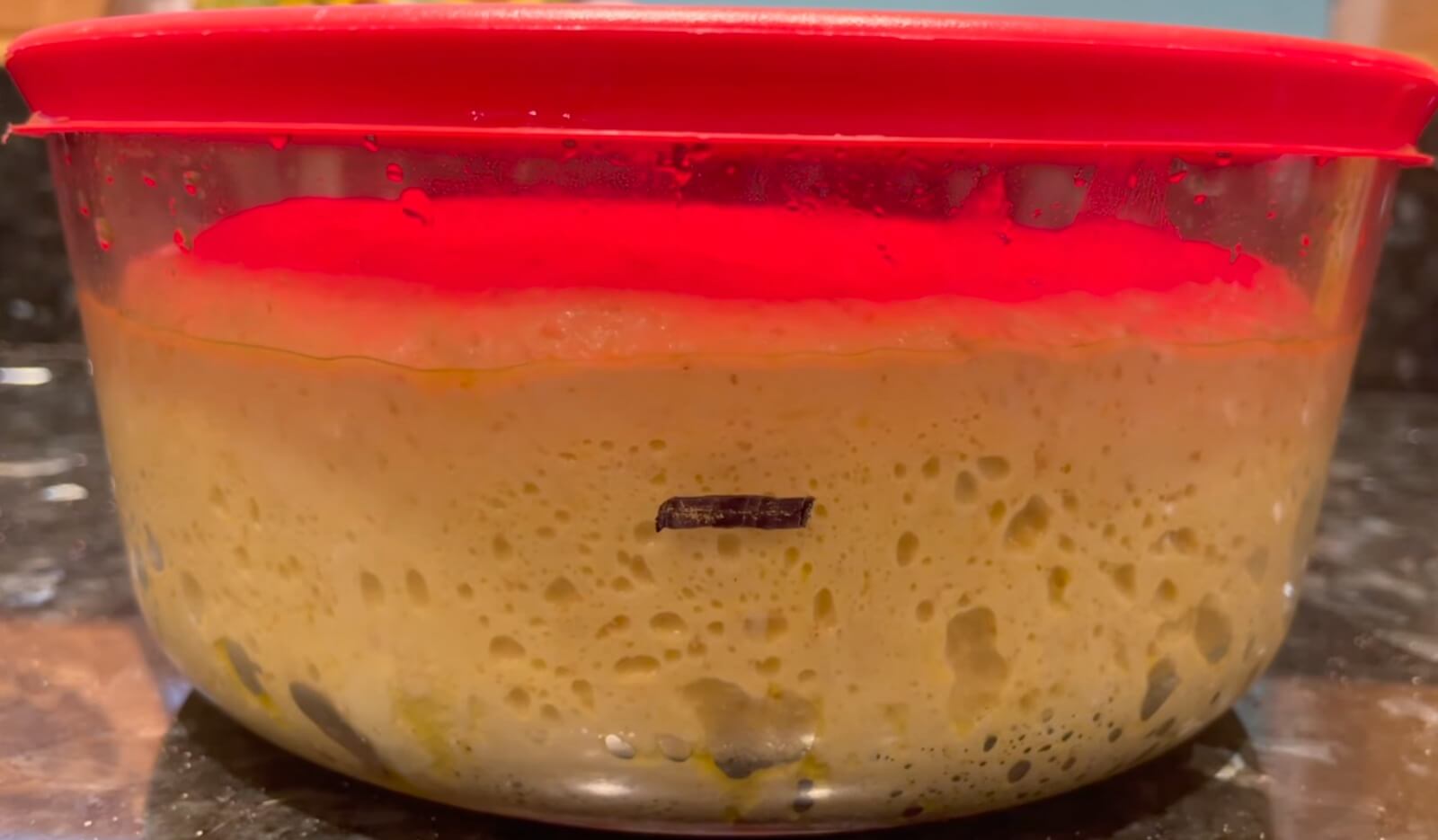 Dough after bulk fermentation