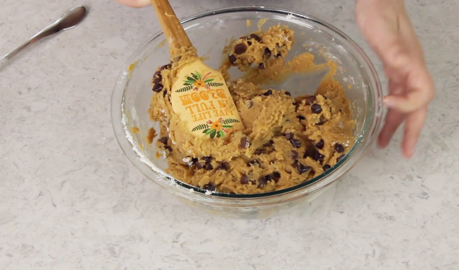 Finished pumpkin chocolate chip cookie dough