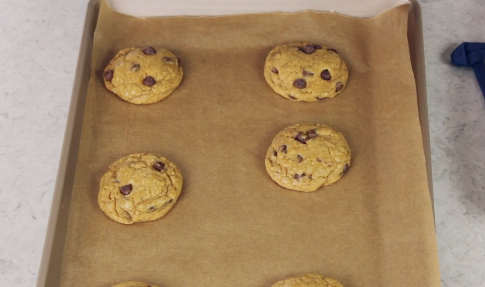Freshly baked pumpkin chocolate chip cookies